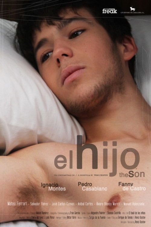 The Son (2012) poster