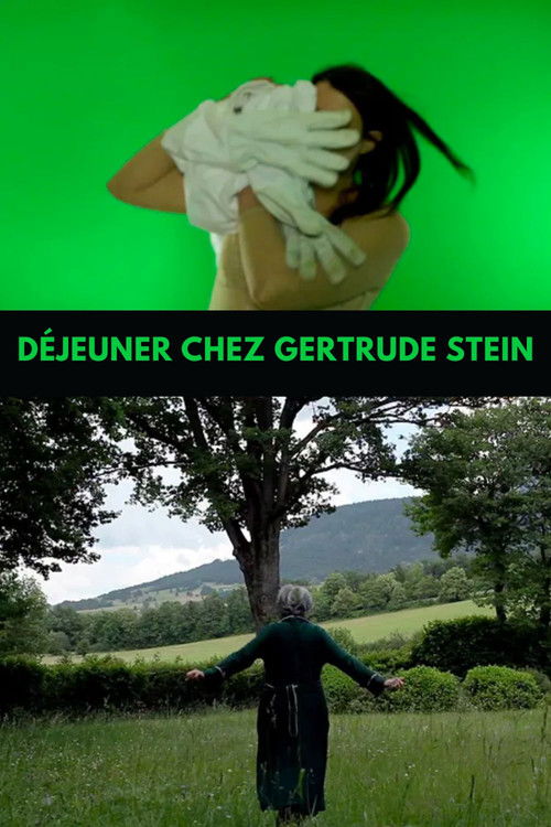 Déjeuner chez Gertrude Stein (2013) poster