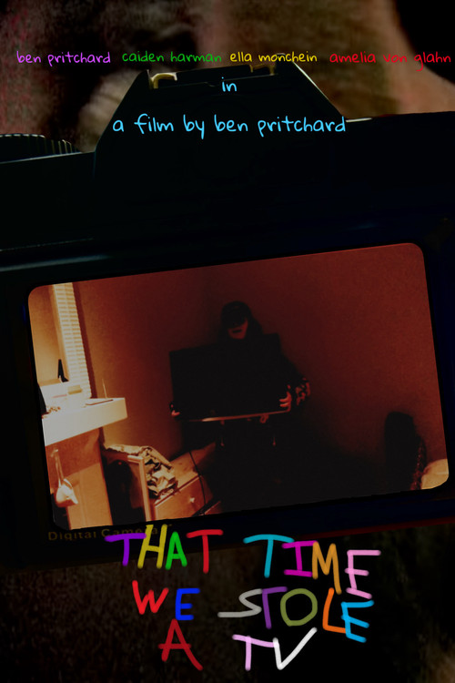 THAT TIME WE STOLE A TV (2025) poster