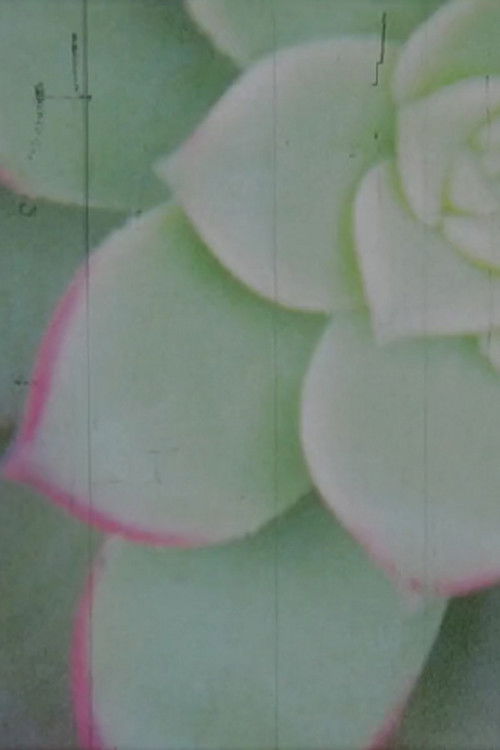 Reflexiones (2014) poster