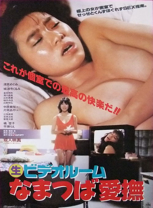 (Marunama) Video Room: Namatsuba Aibu (1986) poster