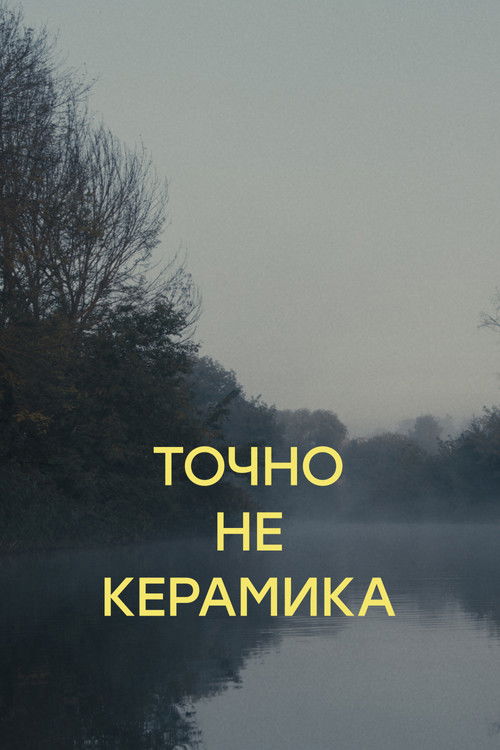 Точно не керамика (2024) poster