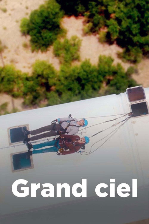 Grand ciel (2022) poster