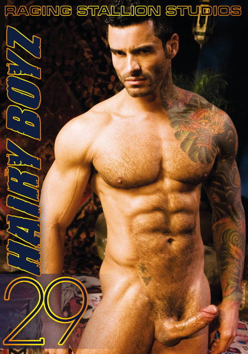 Hairy Boyz 29 (2013) poster