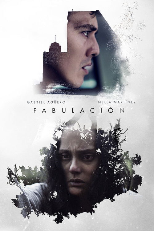 Fabulación (2017) poster