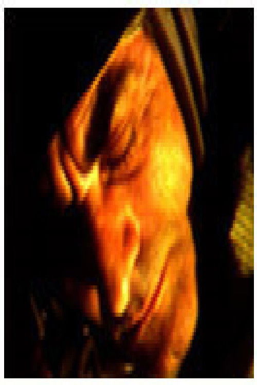 Мистериозниот предмет (1982) poster