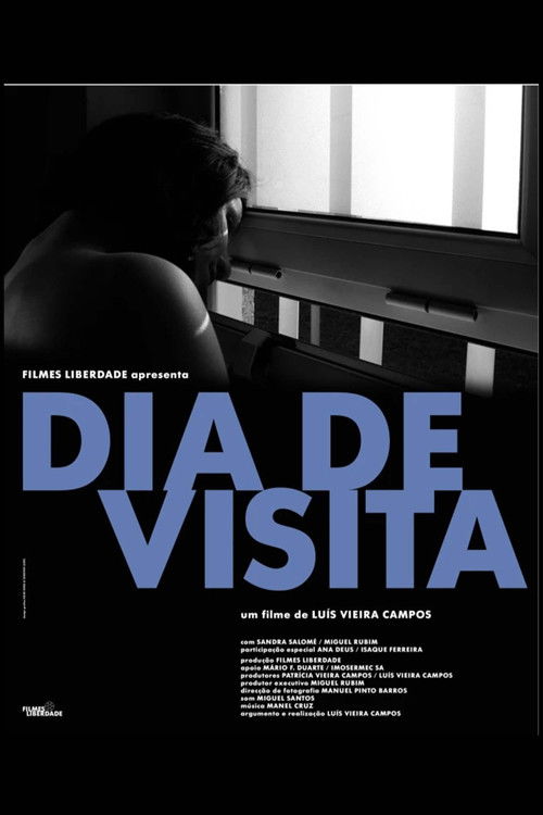Dia de Visita (2011) poster