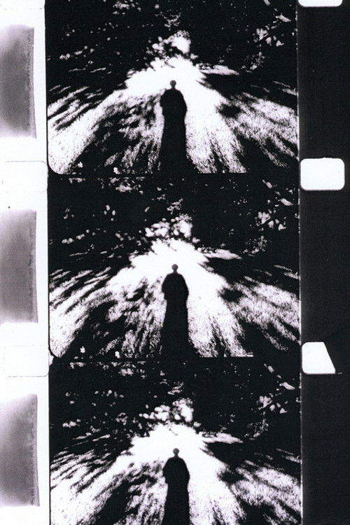Imaginary Light (1994) poster