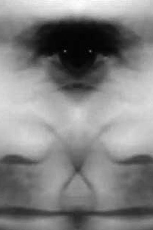 Sem Título # 3 : E para que Poetas em Tempo de Pobreza? (2016) poster