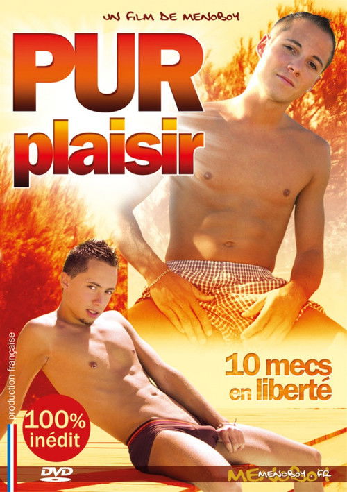 Sheer Pleasure (2010) poster
