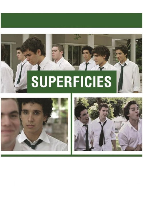 Superficies (2013) poster
