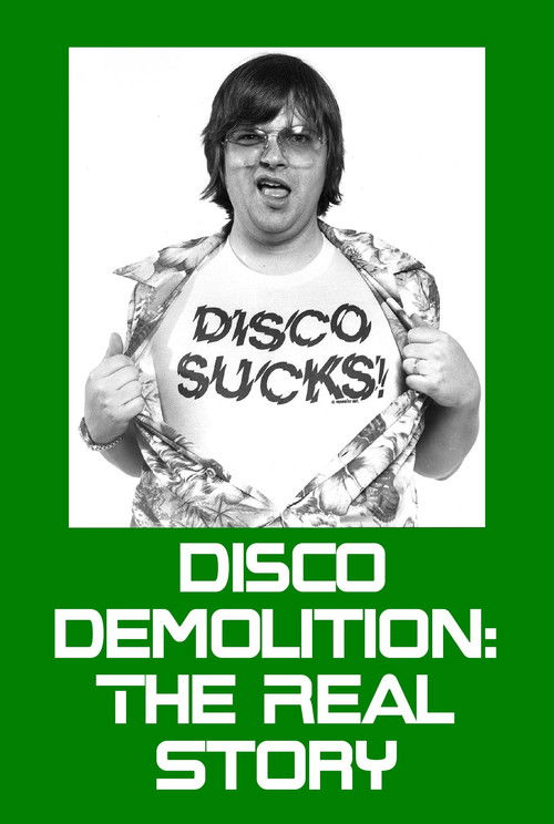 Disco Demolition: The Real Story (2004) poster
