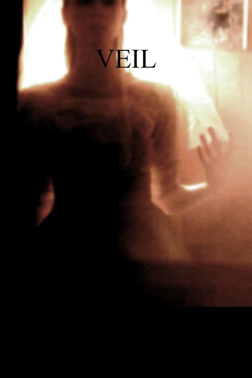 Veil (2014) poster