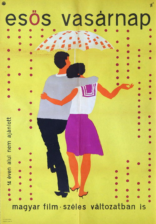 A Rainy Sunday (1962) poster