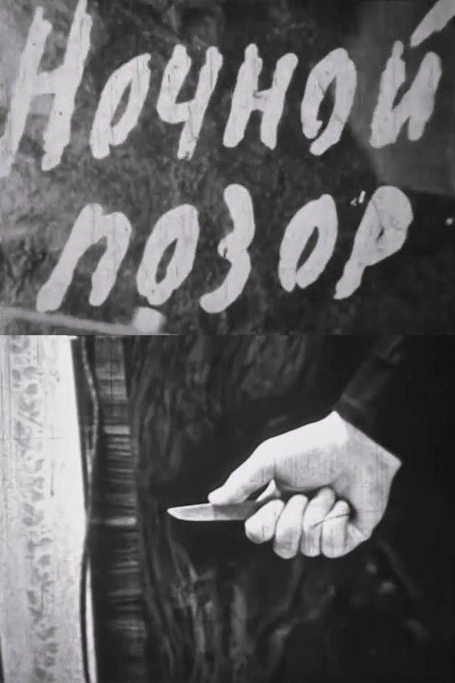 Nocturnal Shame (1964) poster