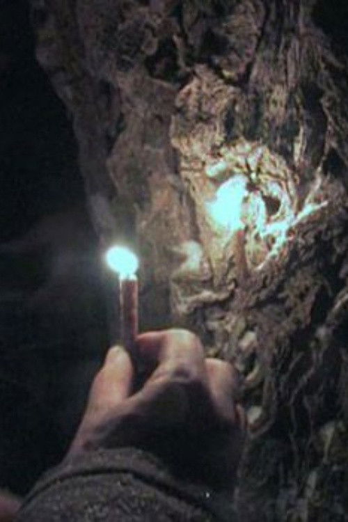 Сквозь хвою хвойных деревьев... (2012) poster