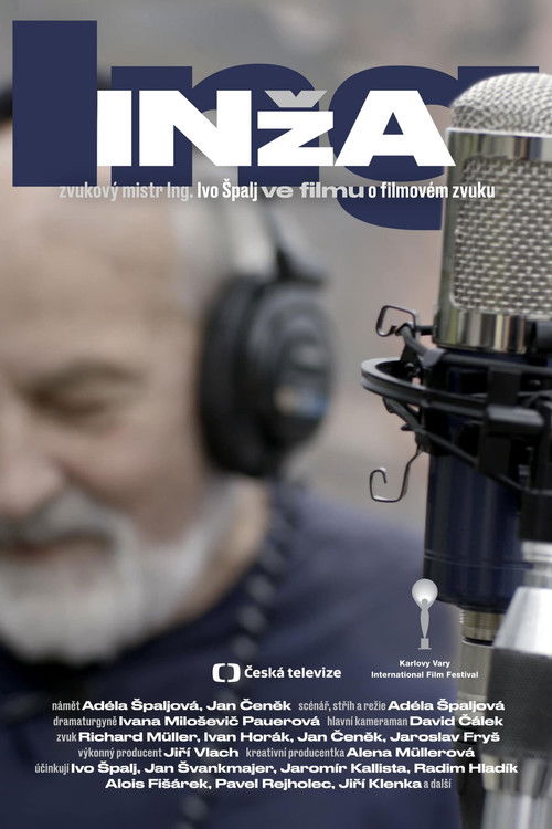 Engi – Sound Designer Ivo Špalj (2023) poster