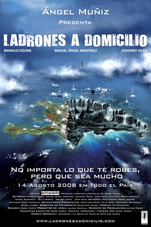 Ladrones a Domicilio (2008) poster