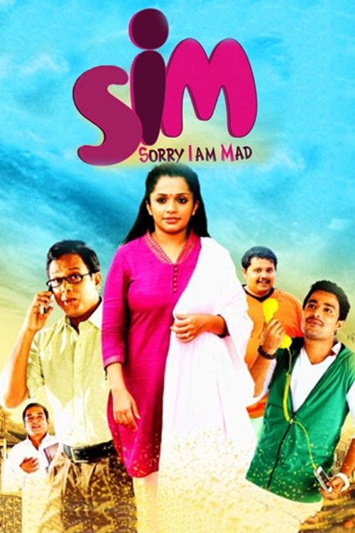 SIM (2013) poster