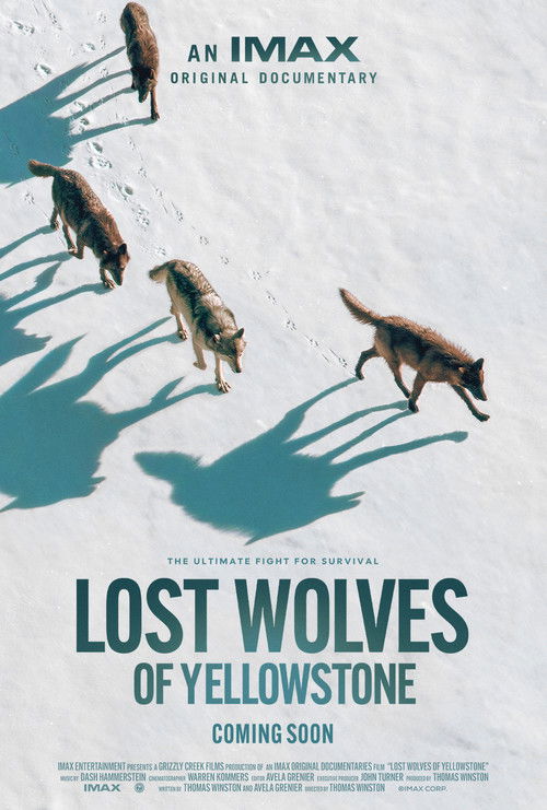 Lost Wolves of Yellowstone (2024) poster