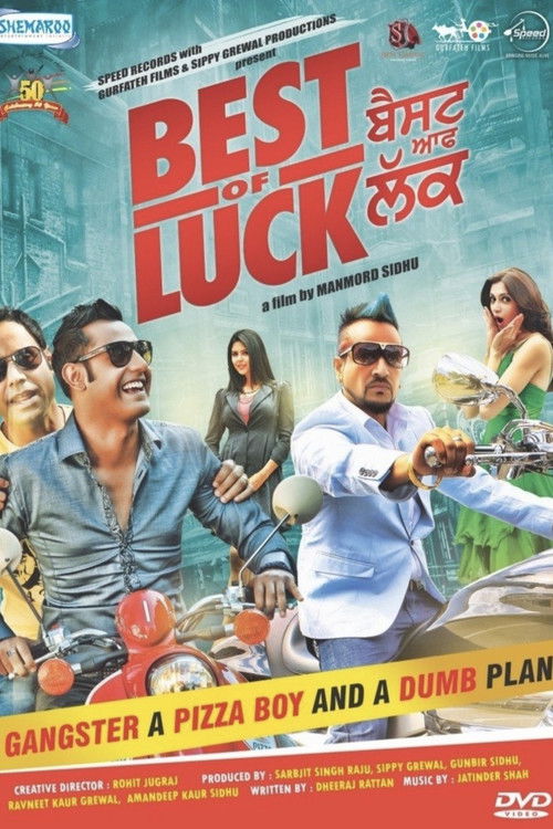Best of Luck (2013) poster