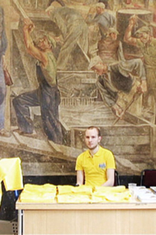 Vi bryr oss egentligen inte om midsommar (2010) poster