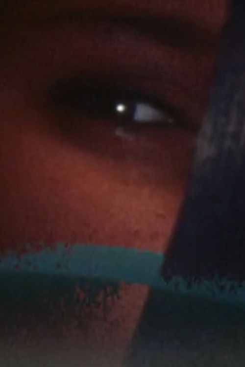 Le verre n'est jamais si bleu qu'à sa brisure (1981) poster