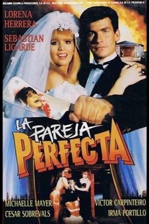 The Perfect Couple (1991) poster