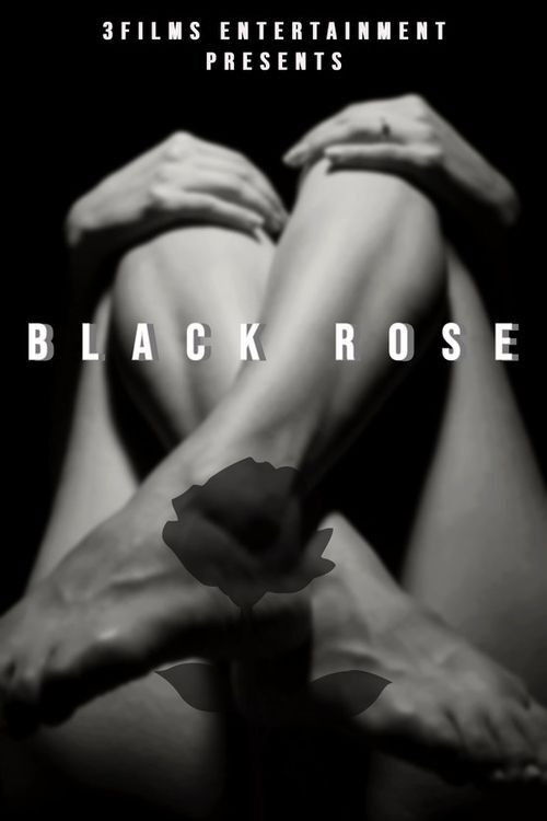 The Black Rose poster