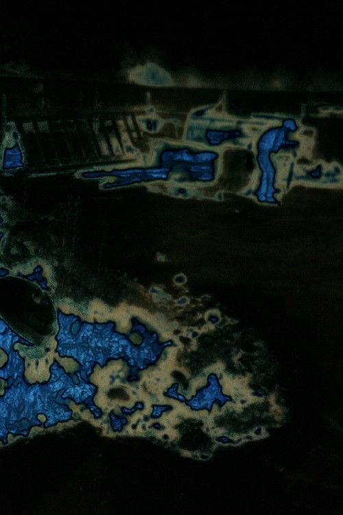 Strawberries in the Summertime (2014) poster