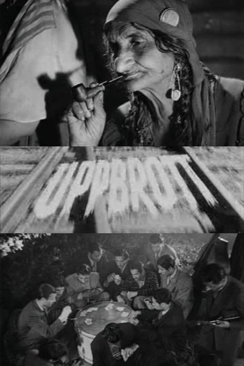 Uppbrott (1949) poster