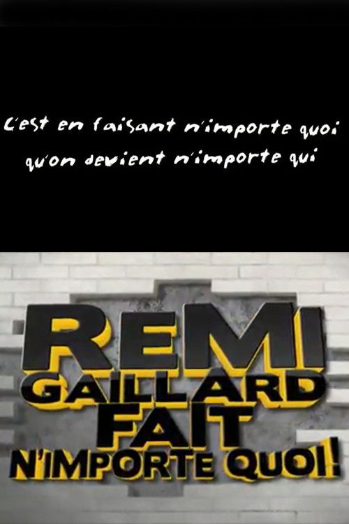 Rémi Gaillard fait n'importe quoi! (2011) poster