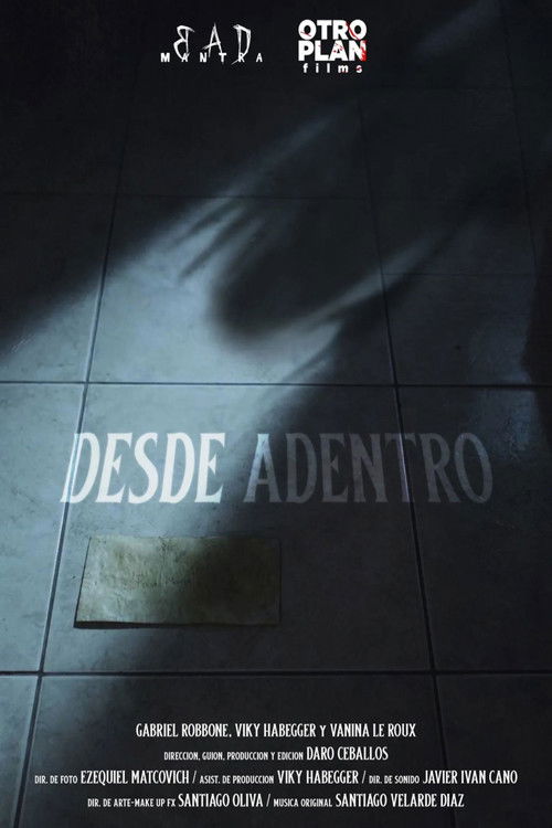 Desde adentro (2022) poster