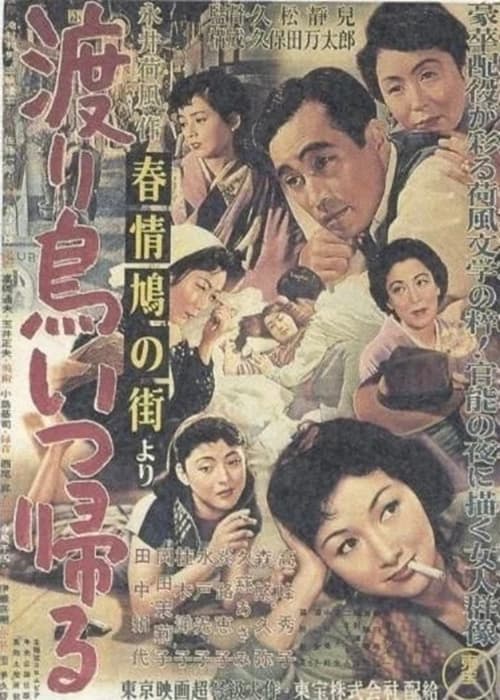 「春情鳩の街」より 渡り鳥いつ帰る (1955) poster