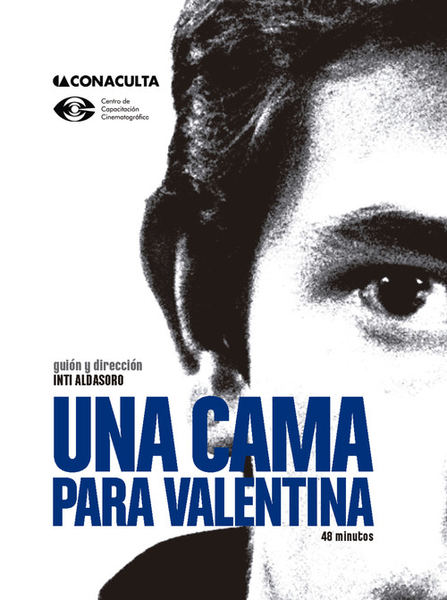 Una cama para Valentina (2011) poster