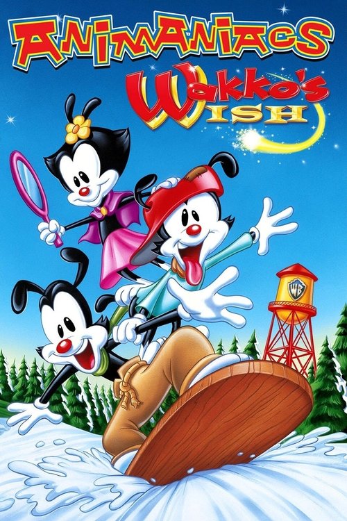 Animaniacs: Wakko's Wish (1999) poster