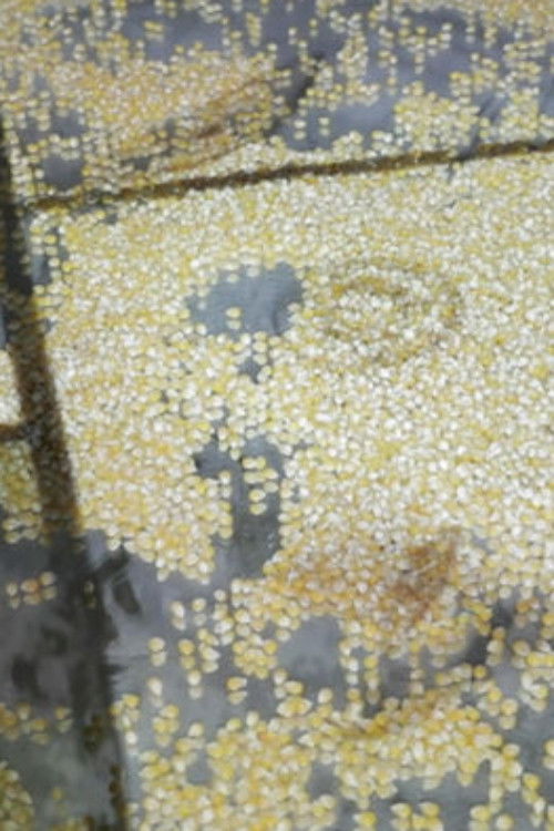 Who Is Afraid of Ideology? Part 3 Micro Resistances (2020) poster