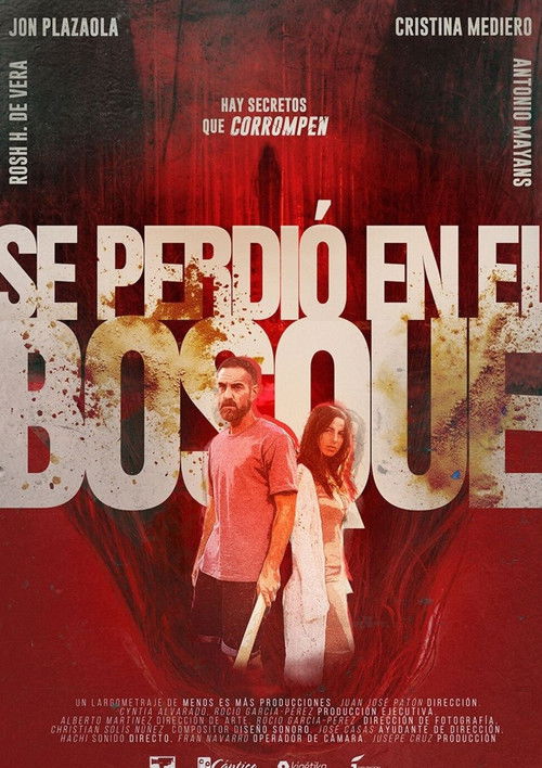 Se perdió en el bosque poster