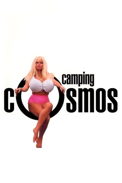 La Vie sexuelle des Belges partie 2 - Camping Cosmos (1996) poster