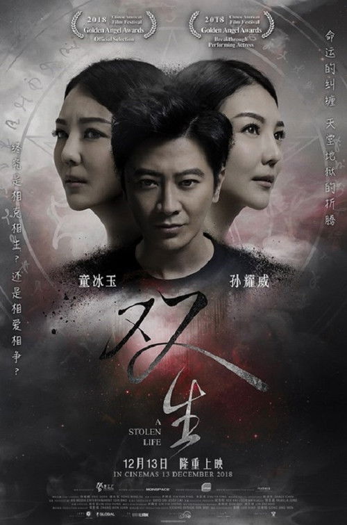 A Stolen Life (2018) poster