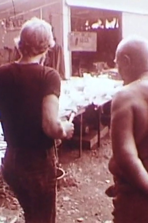 A Quiet Afternoon with Strangers (1977) poster