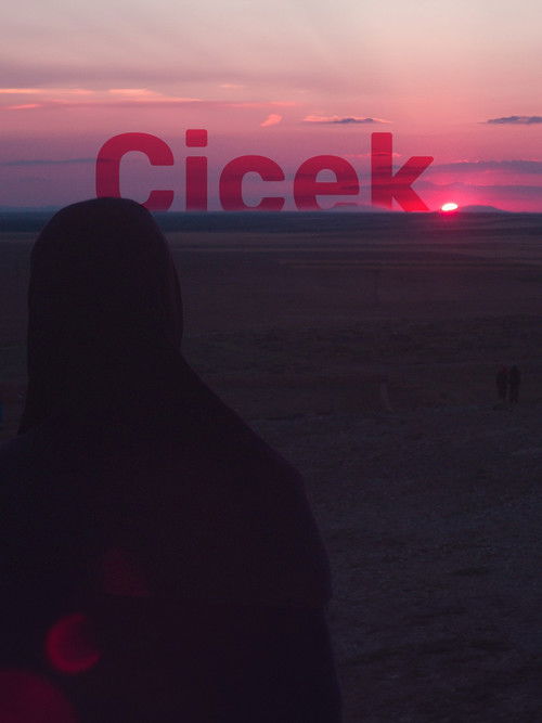 Çiçek (2016) poster