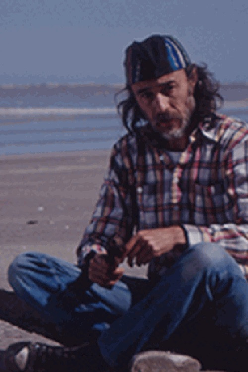 La línea (1992) poster