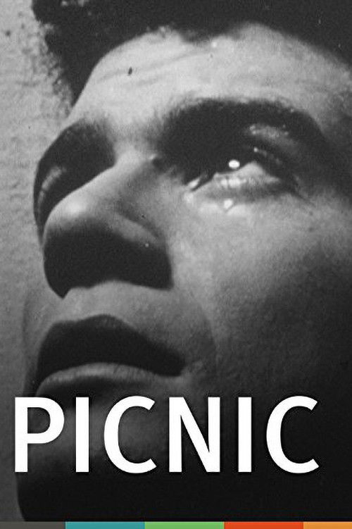 Picnic (1949) poster