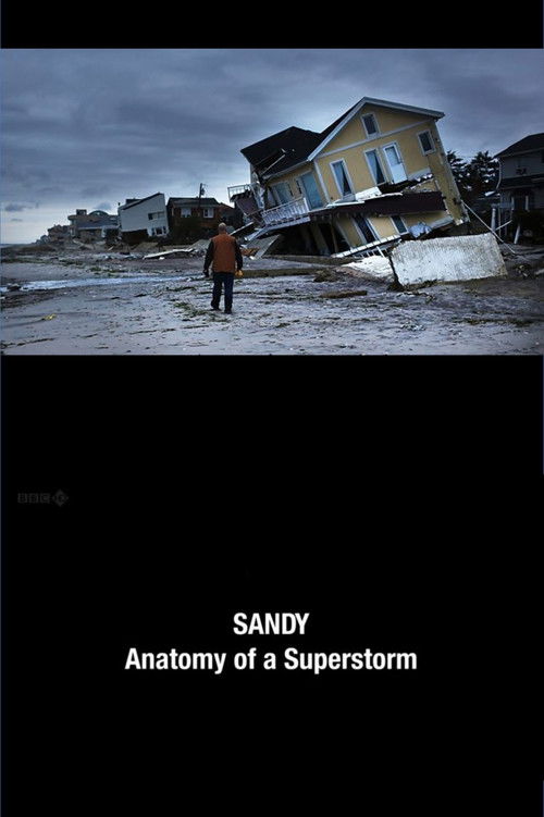 Sandy: Anatomy of a Superstorm (2012) poster