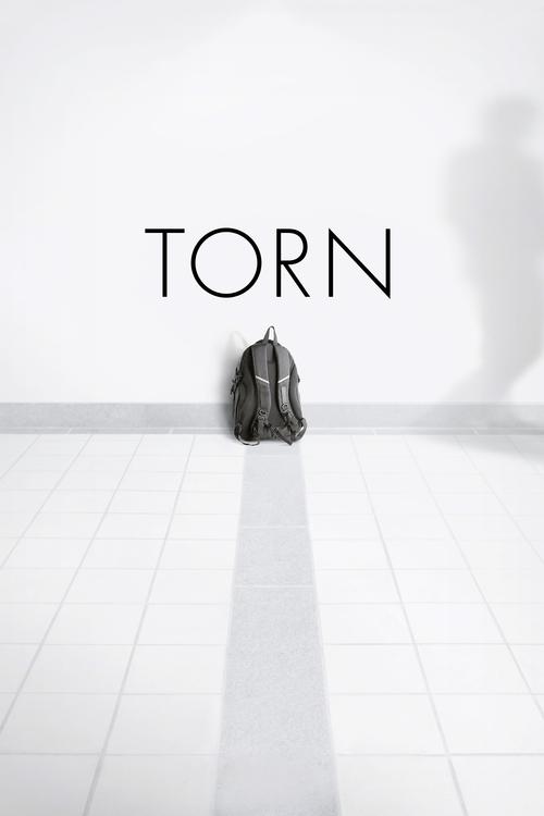 Torn (2013) poster