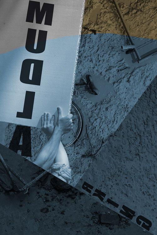 Mudlarking (2026) poster