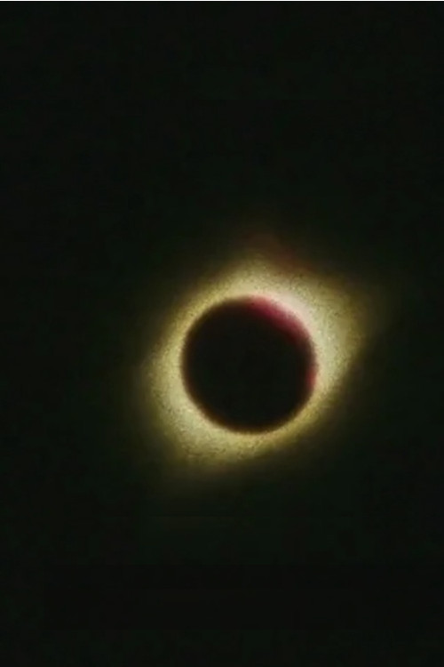 What Lit the Earth (2017) poster