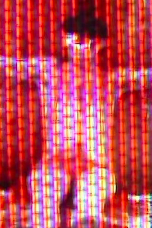 Trieste (2002) poster