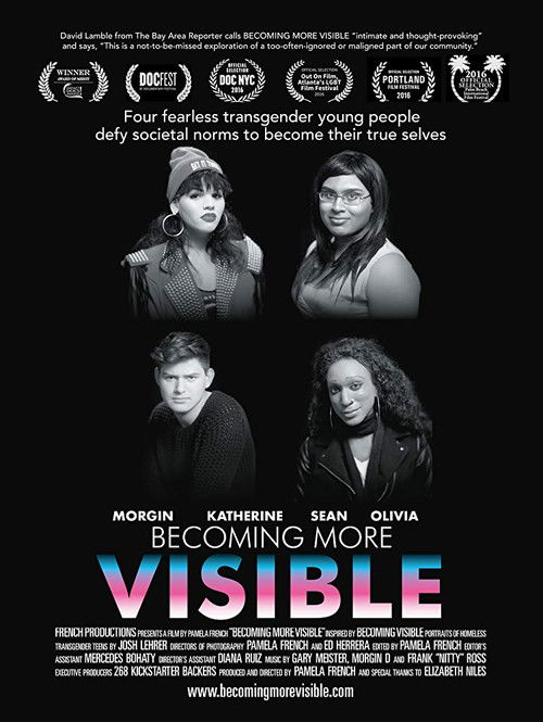 Becoming More Visible (2016) poster